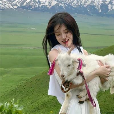 飞马俏姑娘