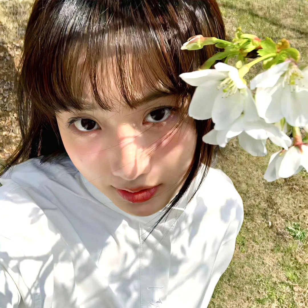 玛雅蜜蜂历险记